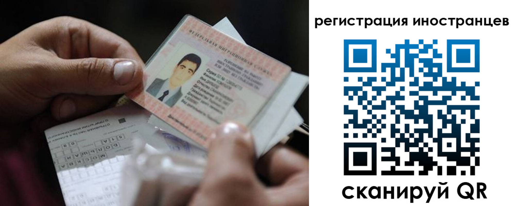 прописка для школы в Гвардейске